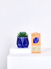 Load image into Gallery viewer, Self Watering Plant Pots
