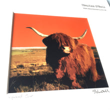 Load image into Gallery viewer, Highland Cow
